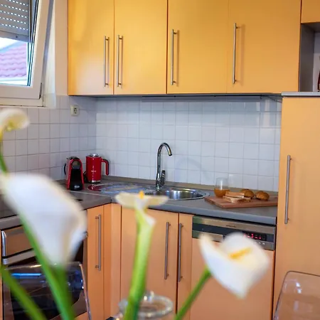 Apartment Cvita *